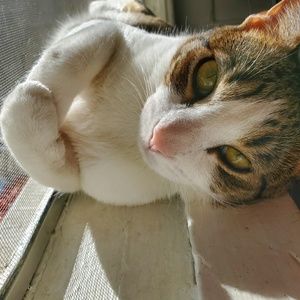 Meet your Posher, Cesar